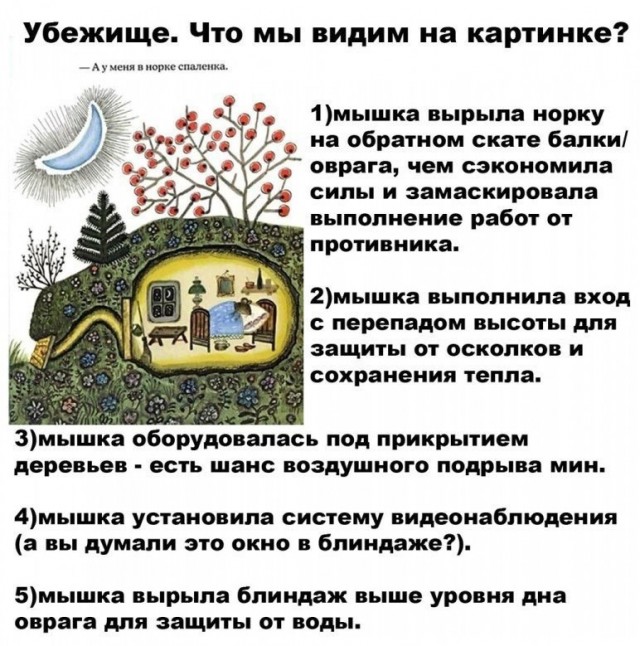 Всего понемногу. От 20.12