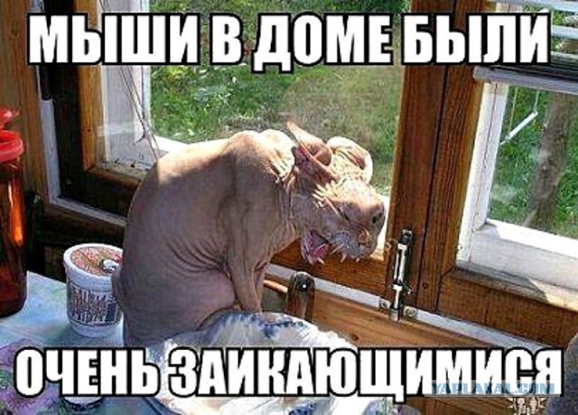Всего понемногу. От 24.02.24