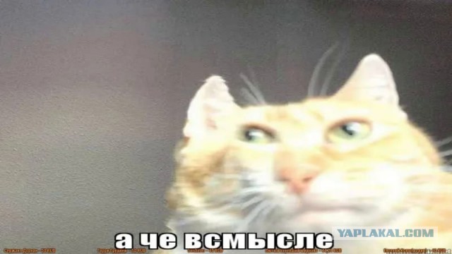 Усыновленный