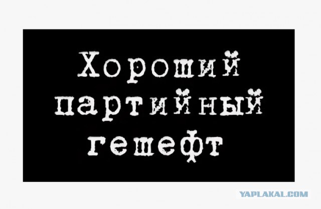 Владимир Путин назначил Александра Хинштейна врио губернатора Курской области