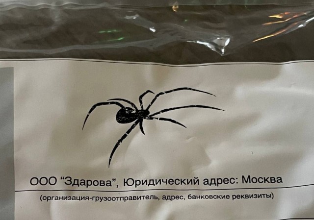 Картинки от 16 февраля