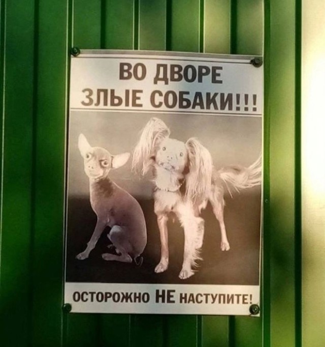 Так себе картинки 28.02.25