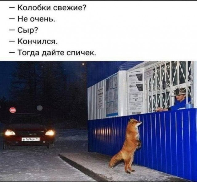 Так себе картинки 14.03.25