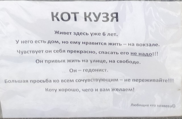 Кот Кузя - гедонист. Работает начальником станции