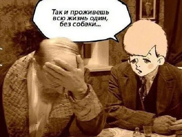 Так себе картинки 08.05.25