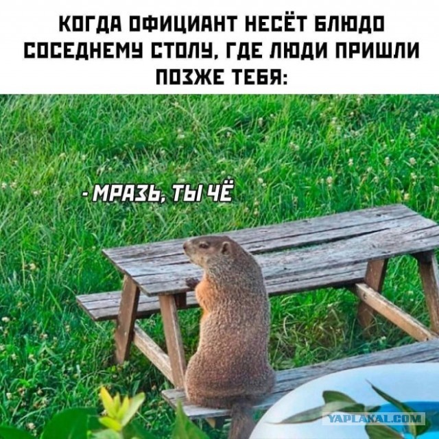 Завалялось тут случайно немного забавных картинок