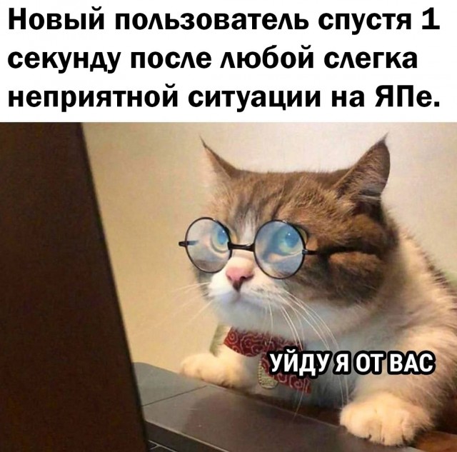 Продолжал терпеливо сохранять мемы