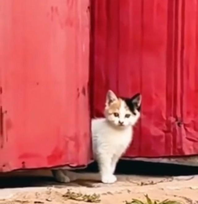Мамы они такие )))