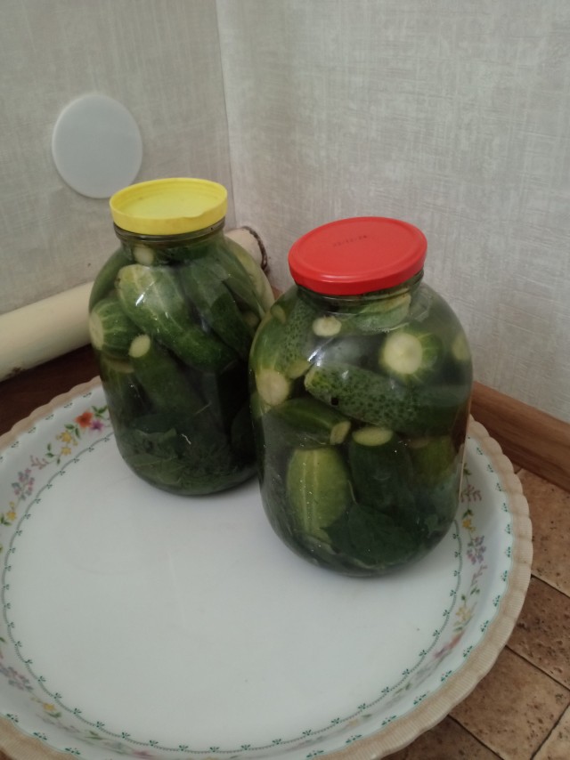 Огурцы соленые, епта!