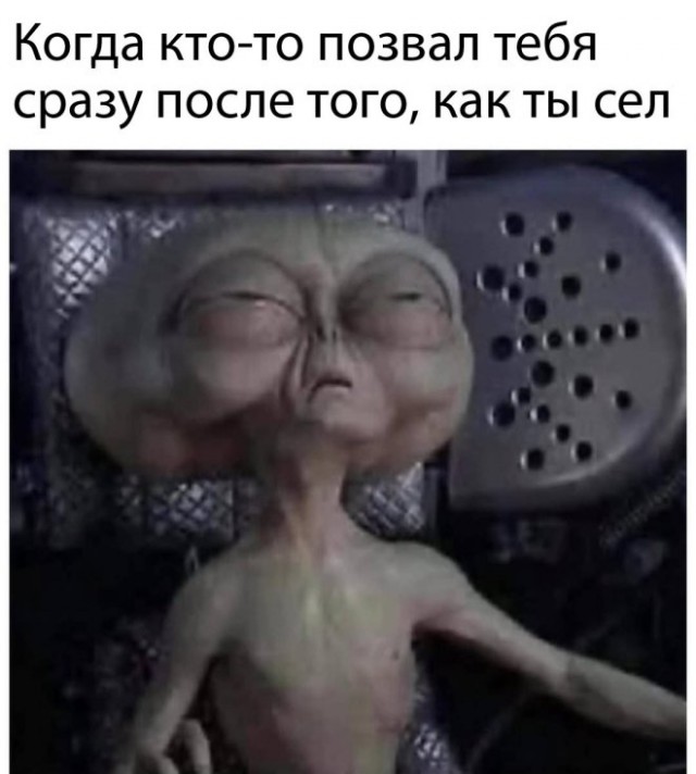 Картинки для деградации 27 (разной степени свежести)