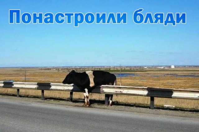 Картинки для деградации 29 (разной степени свежести)