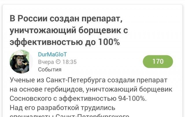 В России создан препарат, уничтожающий борщевик с эффективностью до 100%