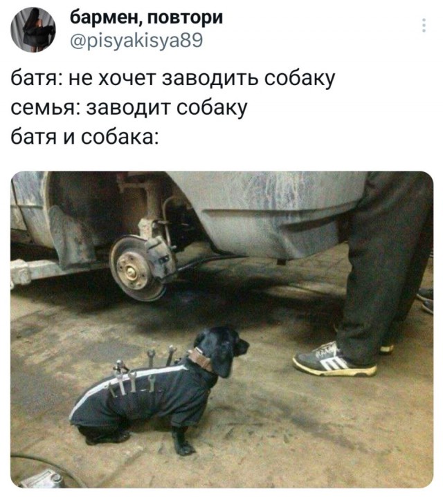 Октябрь, день десятый …