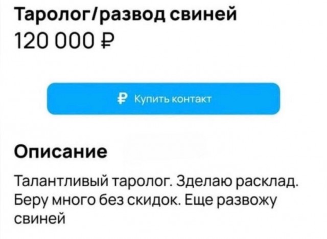 Картинки для бодрости духа