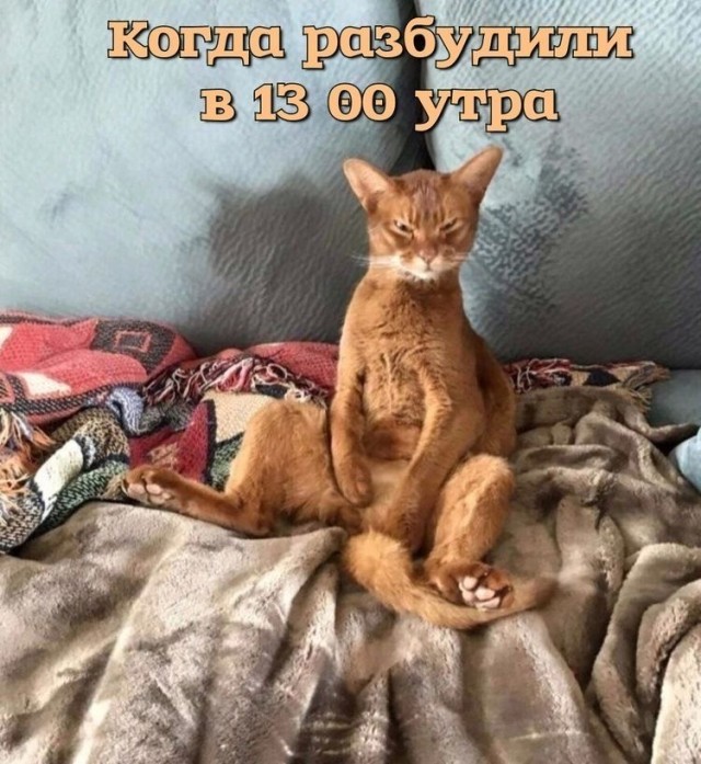 Пятничная сборка