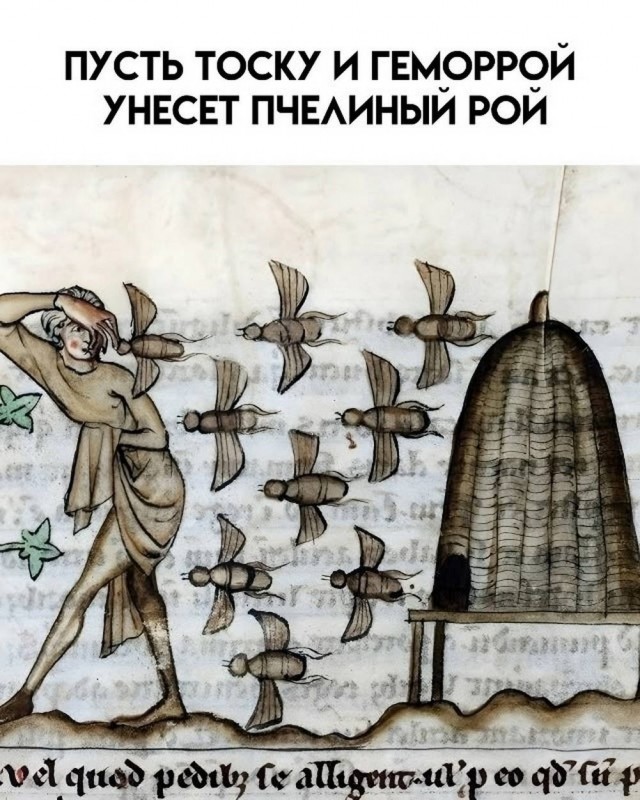 Среда пришла