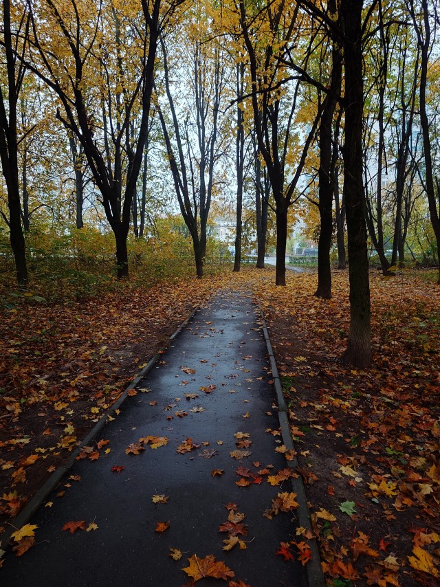 Моя мобильная фотография.