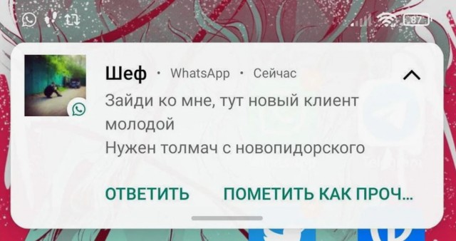 Врач-ортодонт Ксения Софроницкая предупредила об опасности модного метода — заклеивания рта