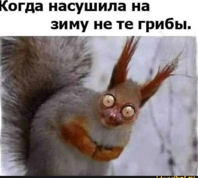 В Усть-Лабинске расширили производство консервированных грибов