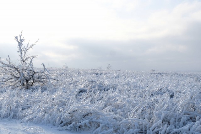 Зимняя дорога