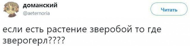 Среды картинки