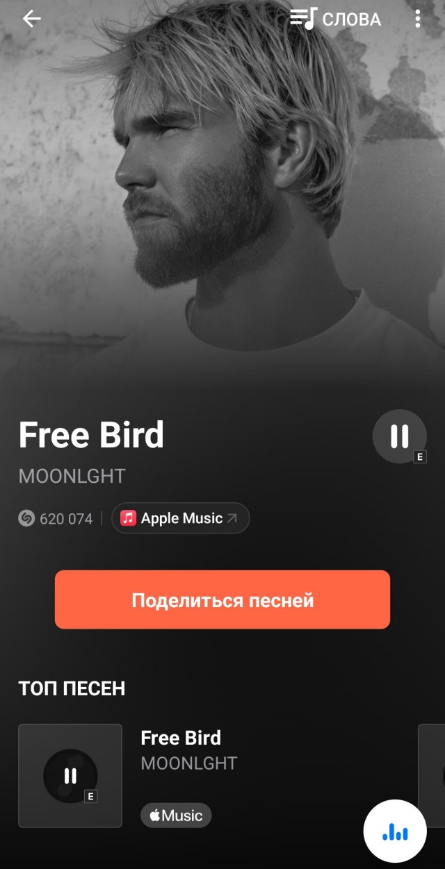 Теперь вы знаете, как выдры бегают по снегу