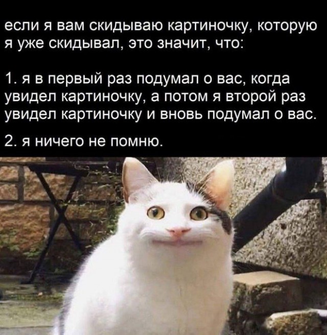 Дегрономикон "Вот-вот умру"