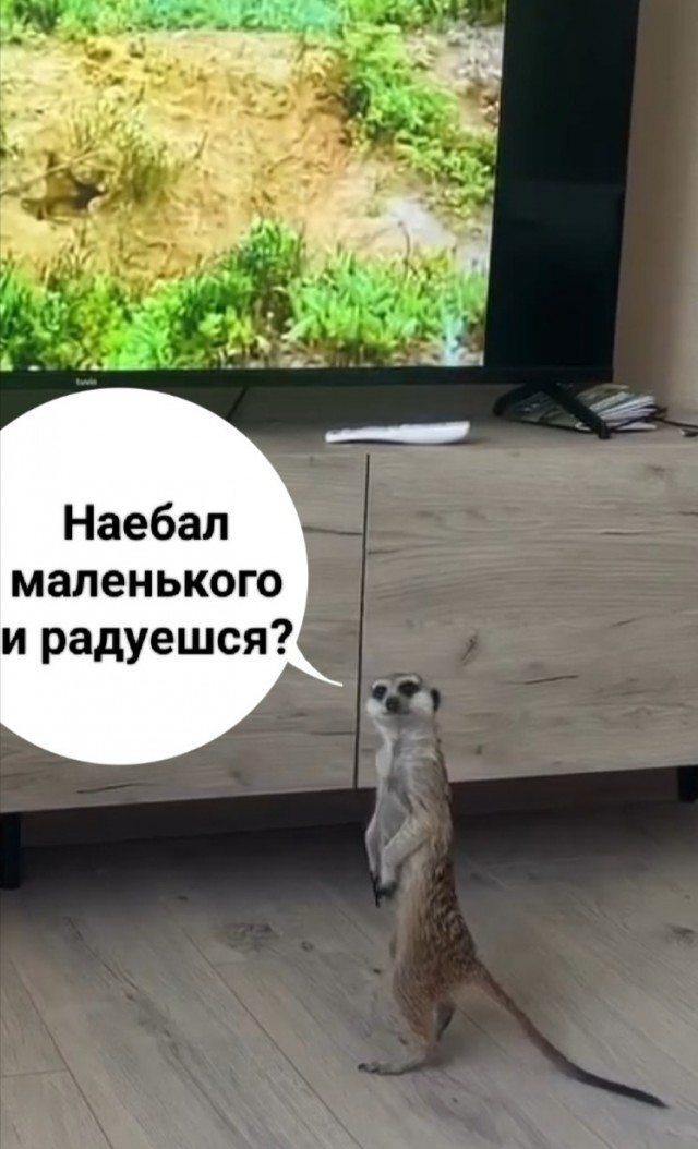 Инстинкт самосохранения в действии