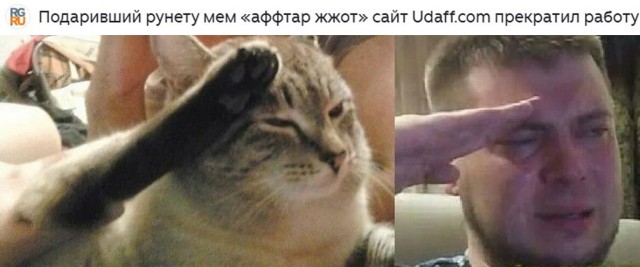 Картинки для деградации 195 (разной степени свежести)
