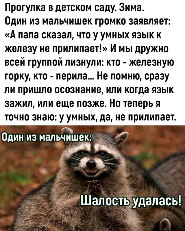 Так себе картинки 09.10.26