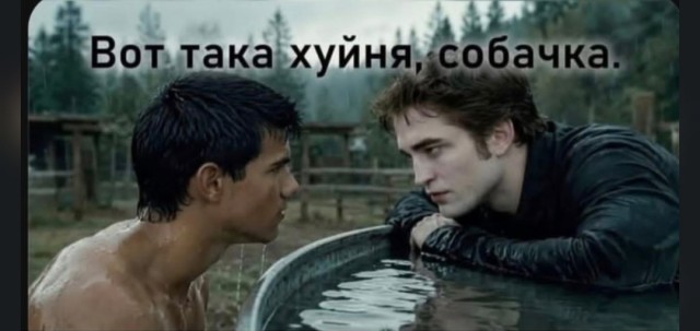 Картинки для деградации 306 (разной степени свежести)