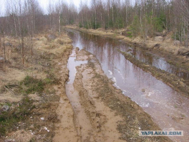 BMW X6 против Нивы 3D
