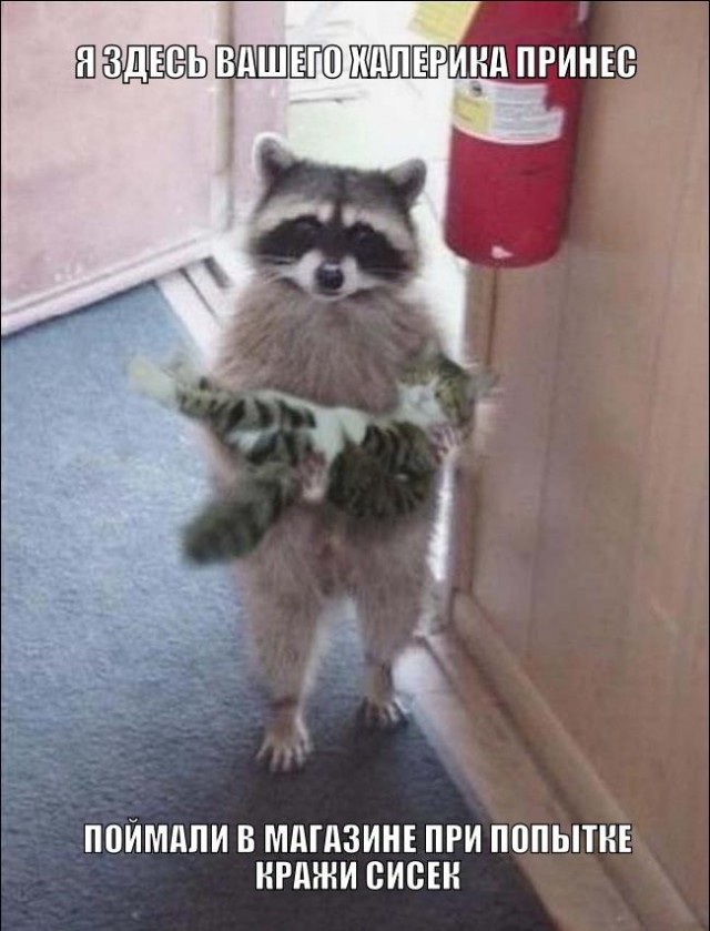 Давайте знакомиться