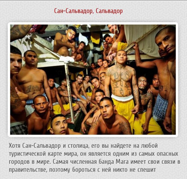 20 фактов обо всем