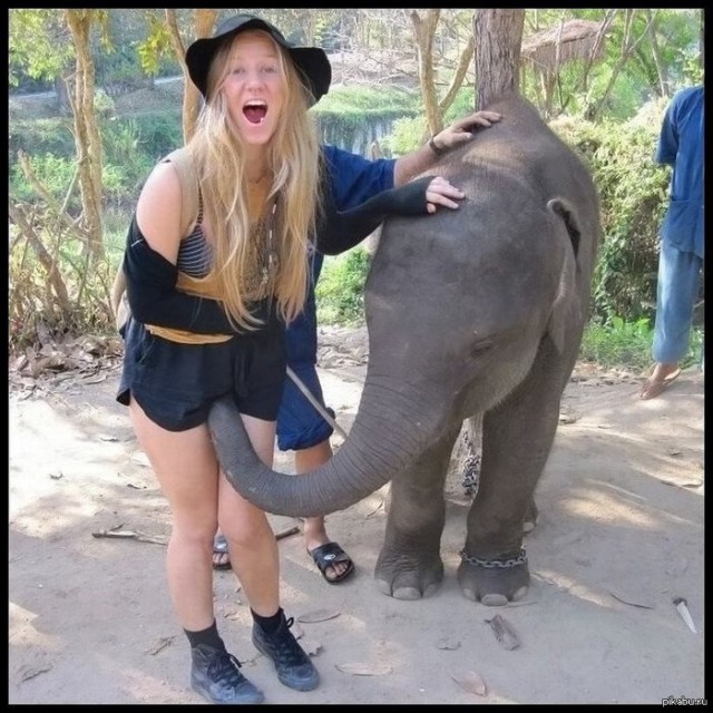 Смешные картинки