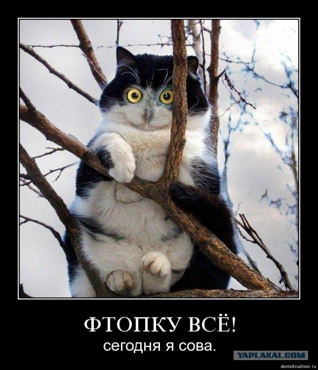 Сово-понедельнег