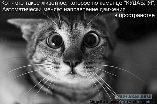 Что делает ленивая