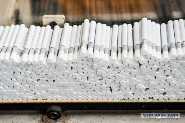 Как в Беларуси делают сигареты: репортаж