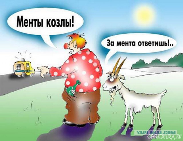 Нужно ли садиться в машину ДПС?