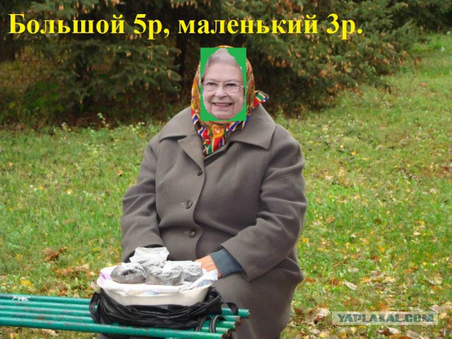Туристы из США не узнали Елизавету II