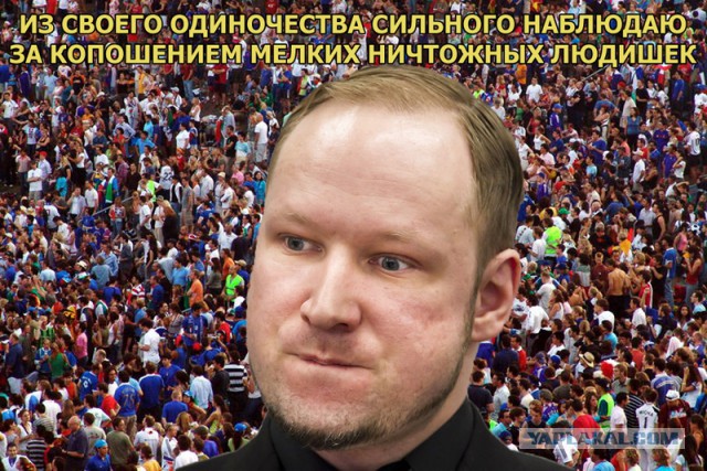 Во Владимире подростки сняли на видео жестокое убийство котёнка