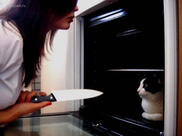 Котомет во вторник (11.12.2007)