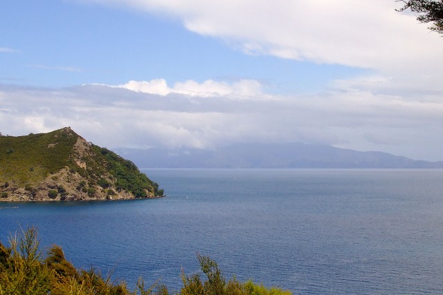 Great Barrier Island. Новая Зеландия.