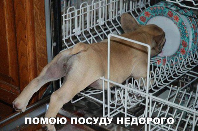 Подборка безудержного веселья
