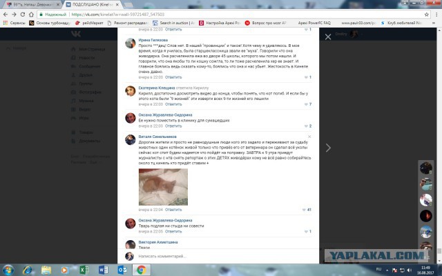 Еб**ь, Наташ: Девочки-подростки транслировали в Сети зверское убийство котенка (18+)