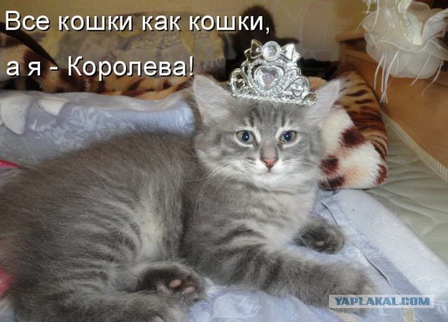 Немного милых жипегов