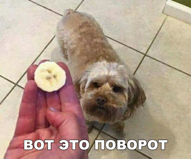 Прикольные картинки абавсём