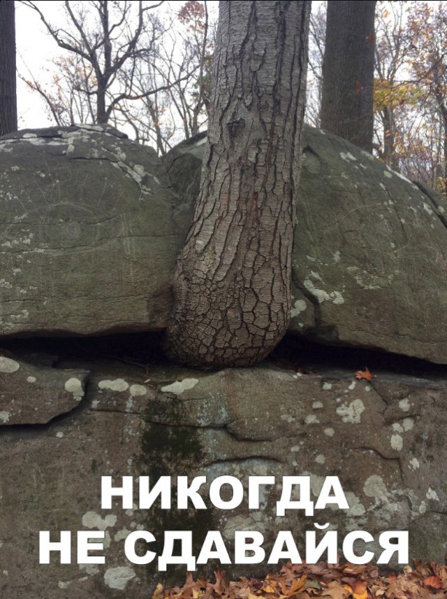 Нестандартный юмор