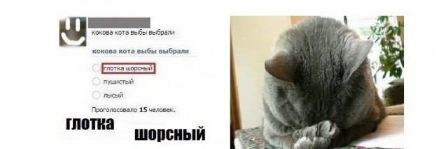 Эра двоечников настала. И они уже не стесняются ничего…