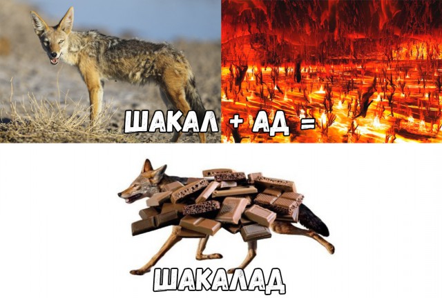 Нестандартный юмор